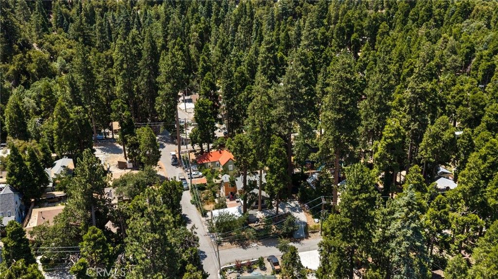 Image 50 of property listing at 41035 Pine Drive, Forest Falls, CA 92339