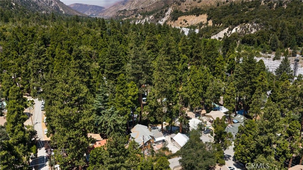 Image 51 of property listing at 41035 Pine Drive, Forest Falls, CA 92339