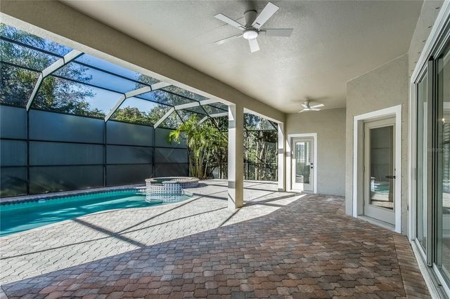 11909 MANDEVILLA COURT, Tampa, FL 33626