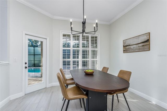 11909 MANDEVILLA COURT, Tampa, FL 33626