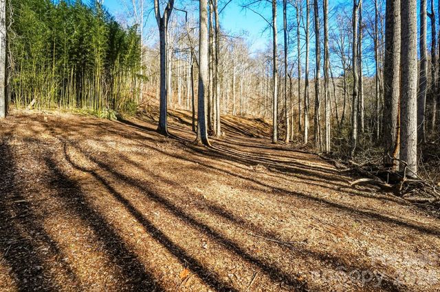 67 Bamboo Trail 18, Candler, NC 28715