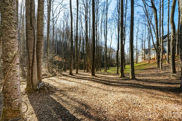 67 Bamboo Trail 18, Candler, NC 28715