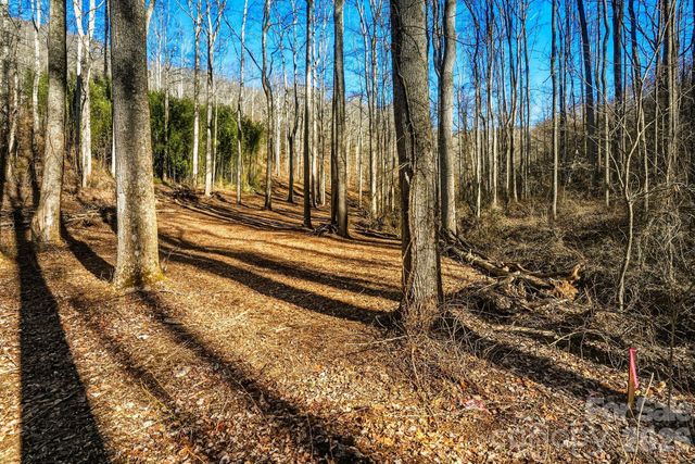 67 Bamboo Trail 18, Candler, NC 28715