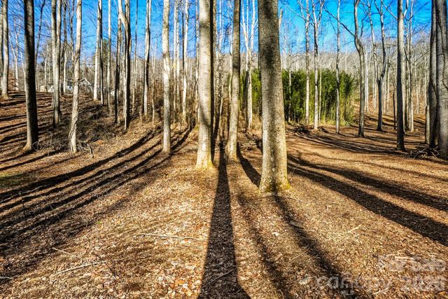 67 Bamboo Trail 18, Candler, NC 28715