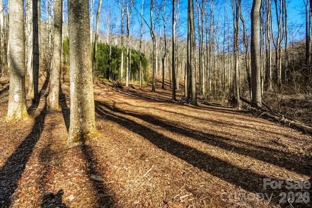 67 Bamboo Trail 18, Candler, NC 28715