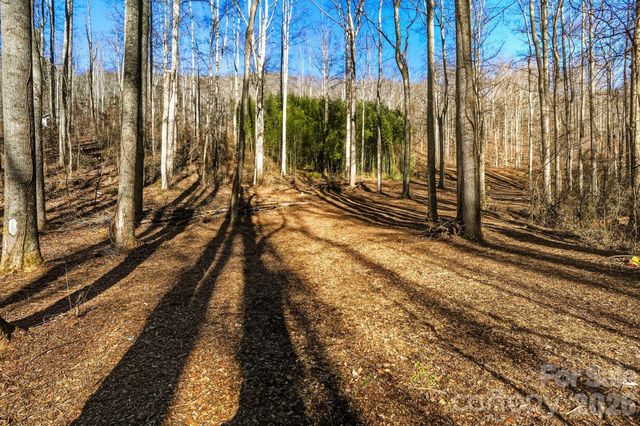 67 Bamboo Trail 18, Candler, NC 28715