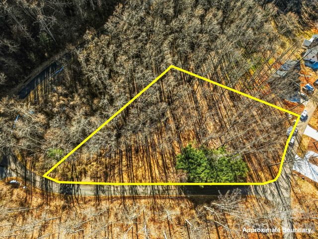 67 Bamboo Trail 18, Candler, NC 28715