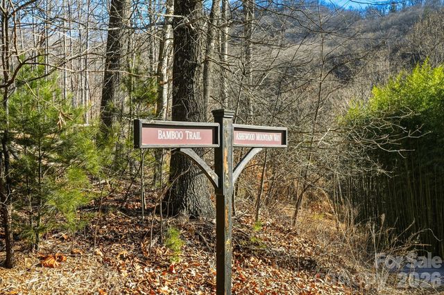 67 Bamboo Trail 18, Candler, NC 28715