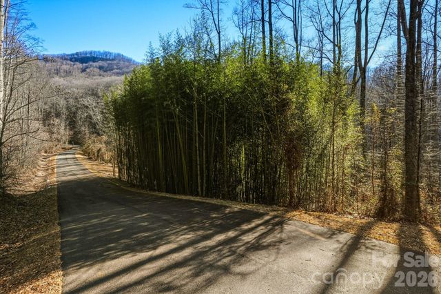 67 Bamboo Trail 18, Candler, NC 28715