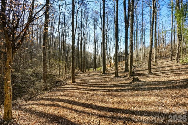 67 Bamboo Trail 18, Candler, NC 28715
