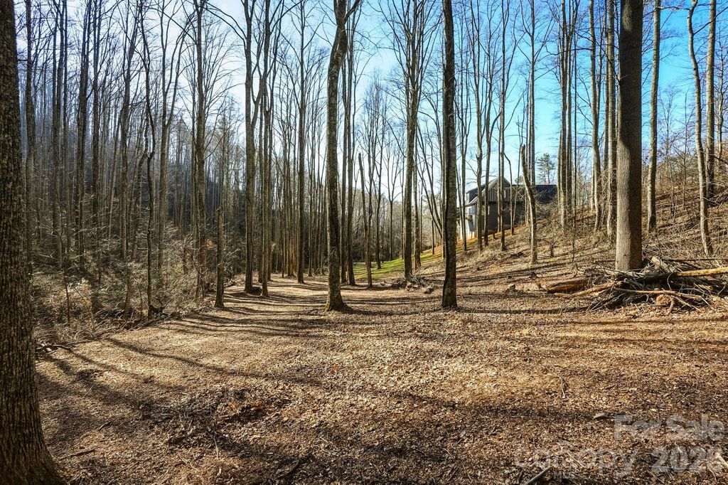 67 Bamboo Trail 18, Candler, NC 28715
