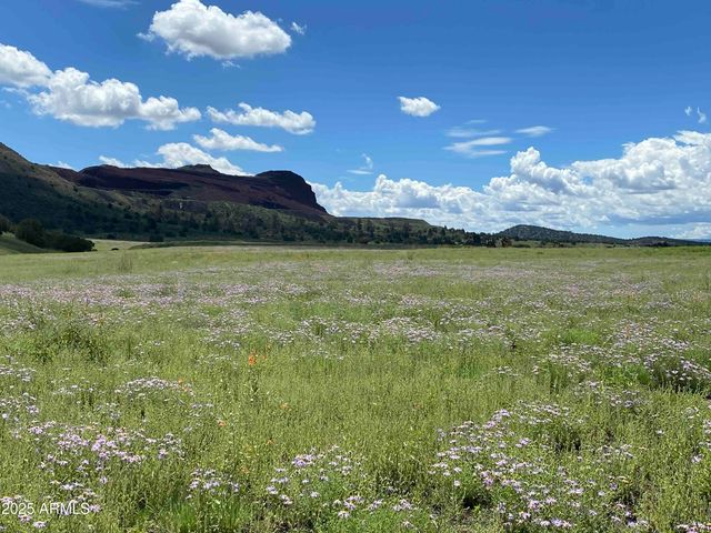 6601 MEADOWS Lane, Flagstaff, AZ 86004