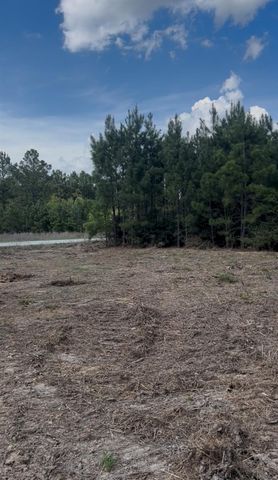 2147 8160 Tract 36, Lovelady, TX 75851