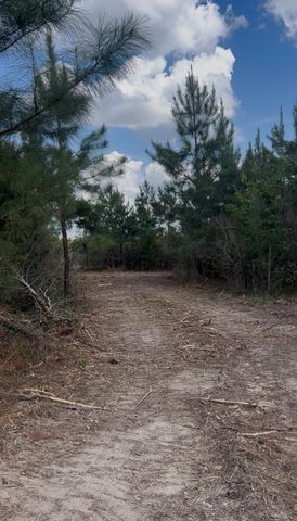 2147 8160 Tract 36, Lovelady, TX 75851