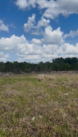 2147 8160 Tract 36, Lovelady, TX 75851