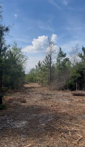 2147 8160 Tract 36, Lovelady, TX 75851