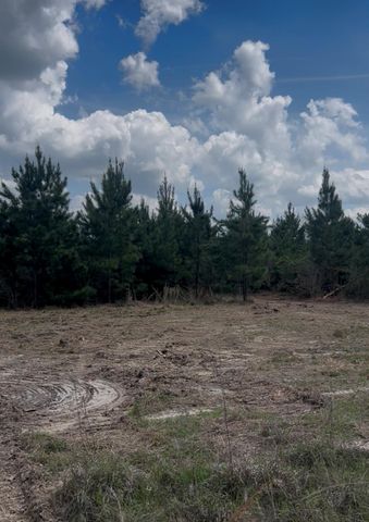 2147 8160 Tract 36, Lovelady, TX 75851