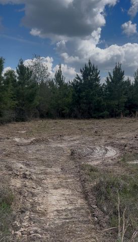 2147 8160 Tract 36, Lovelady, TX 75851