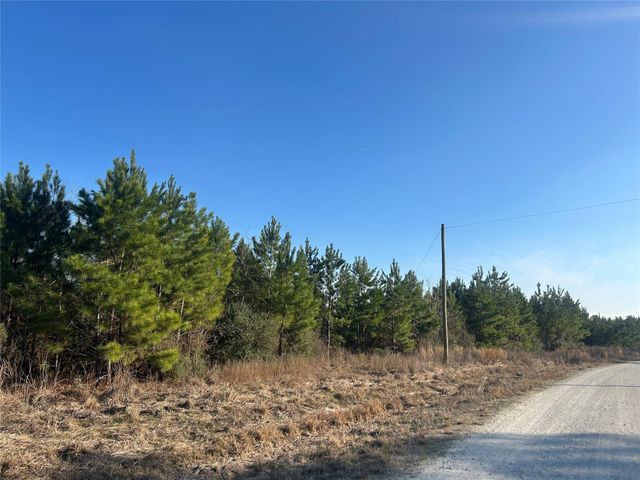 2147 8160 Tract 36, Lovelady, TX 75851