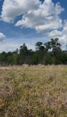 2147 8160 Tract 36, Lovelady, TX 75851