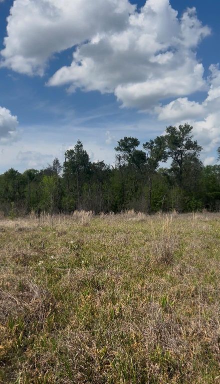 2147 8160 Tract 36, Lovelady, TX 75851