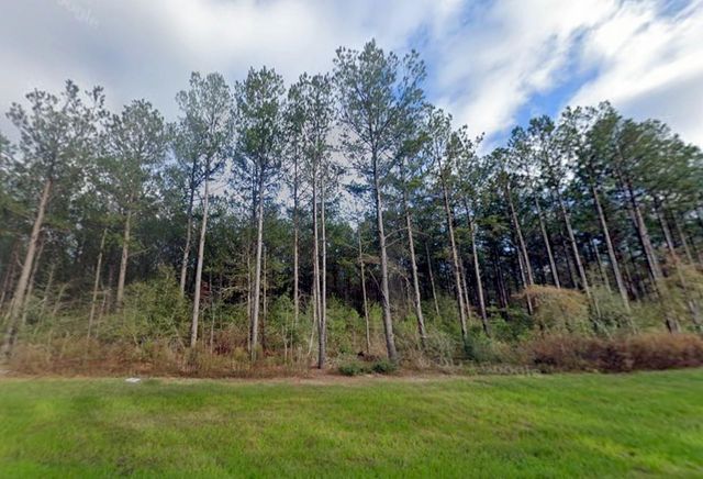 16010 Forest Mill Road, Willis, TX 77378
