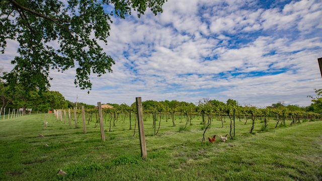 8400 E 1320 Road, Stockton, MO 65785