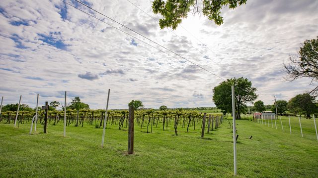 8400 E 1320 Road, Stockton, MO 65785