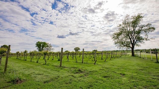 8400 E 1320 Road, Stockton, MO 65785