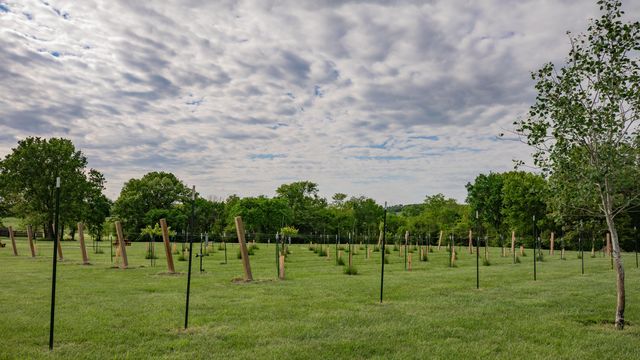 8400 E 1320 Road, Stockton, MO 65785