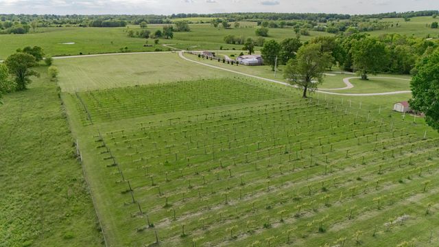 8400 E 1320 Road, Stockton, MO 65785