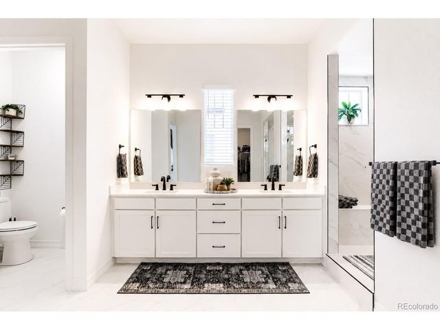1365 Alyssa Dr, Timnath, CO 80547