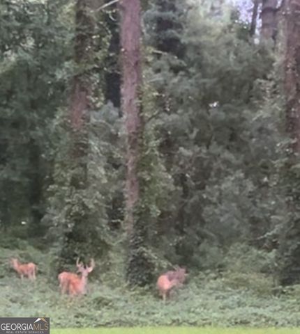 230 White Road, Fayetteville, GA 30214