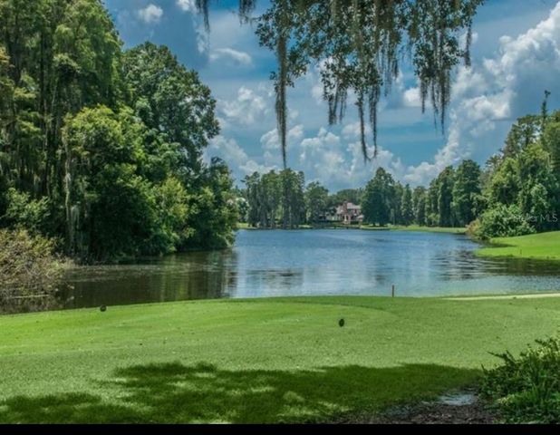 16912 VILLALAGOS DE AVILA, Lutz, FL 33548