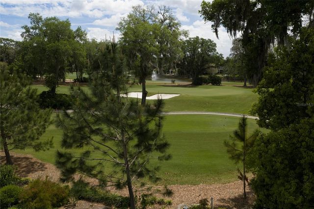 16912 VILLALAGOS DE AVILA, Lutz, FL 33548