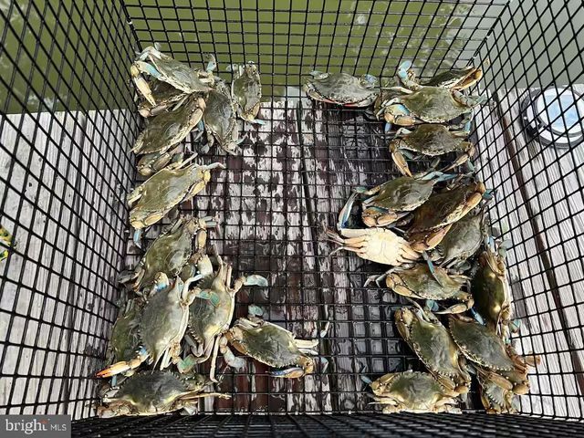 408 SMITH POINT RD, Reedville, VA 22539