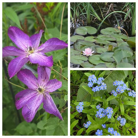 49 Nashville Road, Jericho, VT 05465