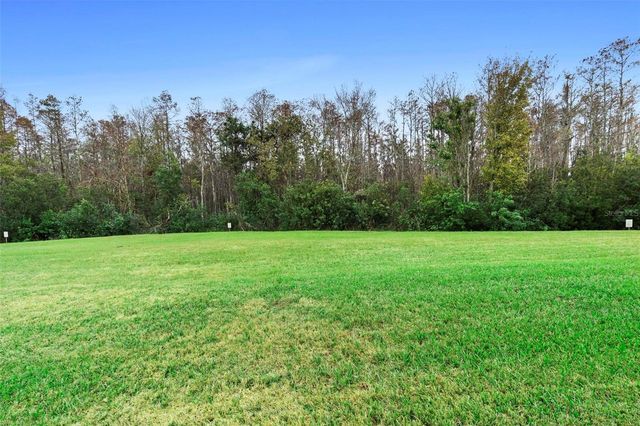 2300 PAINTER LANE, Kissimmee, FL 34741