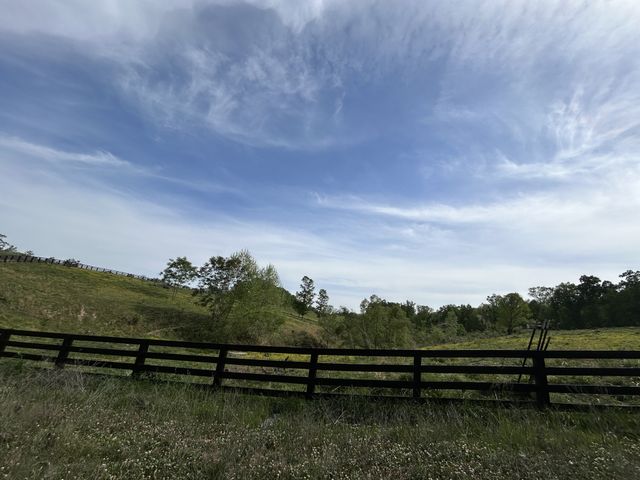 7810 Oscar Green Rd, Primm Springs, TN 38476