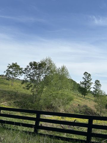 7810 Oscar Green Rd, Primm Springs, TN 38476
