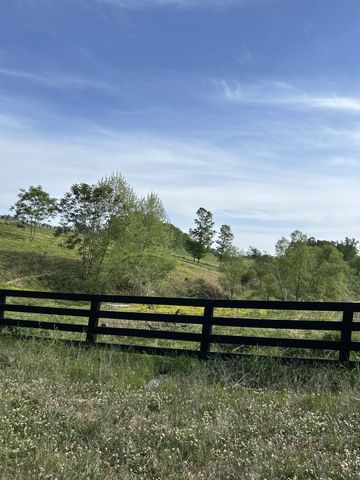 7810 Oscar Green Rd, Primm Springs, TN 38476