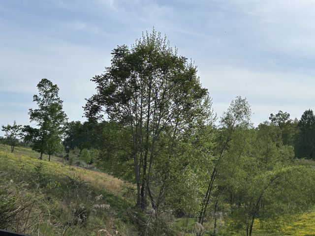 7810 Oscar Green Rd, Primm Springs, TN 38476
