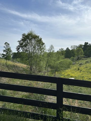 7810 Oscar Green Rd, Primm Springs, TN 38476