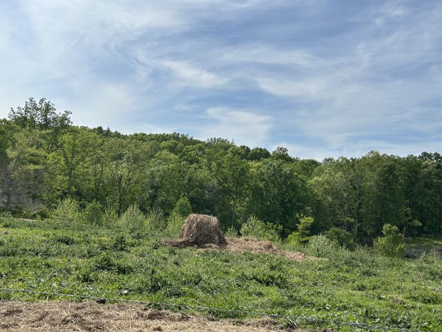 7810 Oscar Green Rd, Primm Springs, TN 38476