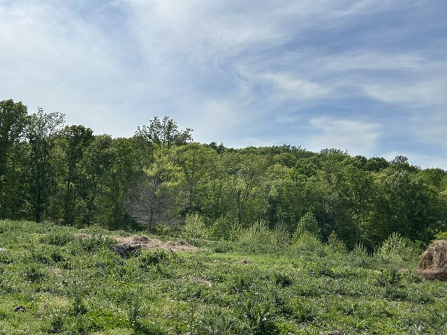 7810 Oscar Green Rd, Primm Springs, TN 38476