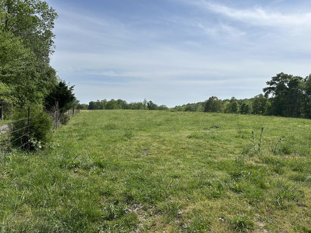7810 Oscar Green Rd, Primm Springs, TN 38476