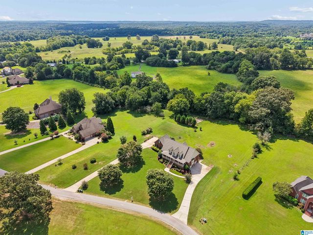 7065 LAKESIDE FARMS CIRCLE, Mccalla, AL 35111