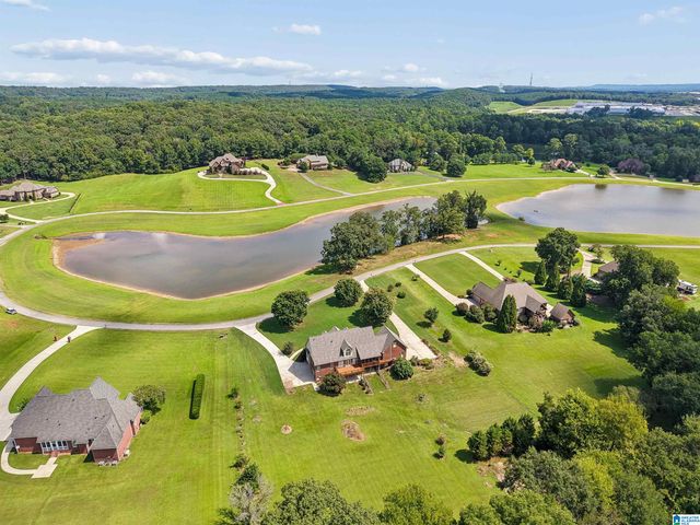 7065 LAKESIDE FARMS CIRCLE, Mccalla, AL 35111
