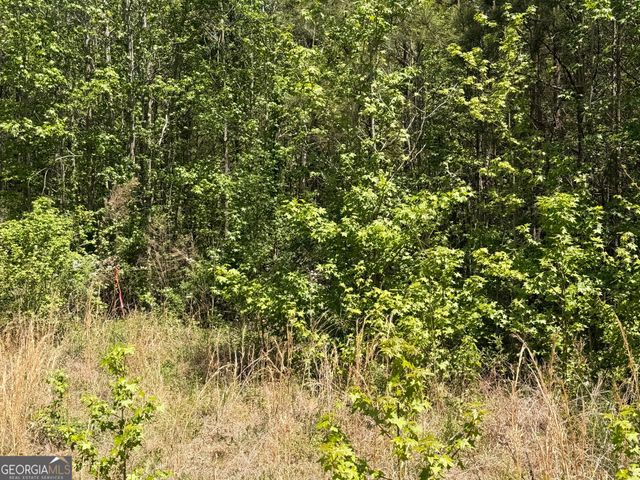 0 Waddell Road, Bremen, GA 30110