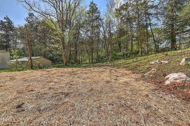 165 Brookfield Lane, Kingsport, TN 37663